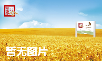 塞北粮仓党支部“不忘初心，牢记使命”主题教育 之支部书记讲党课活动