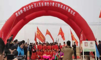 只为让人人吃上放心粮 ——《百人百亩绿色小麦定制项目》开播仪式在河套平原举行